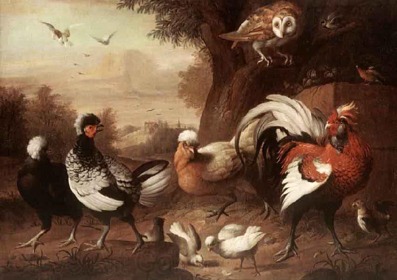 Jakob Bogdani Fowls and Owl Norge oil painting art